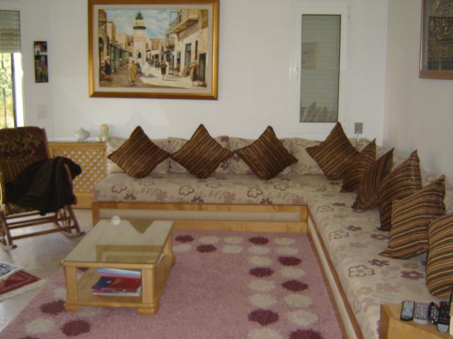 images_immo/tunis_immobilier1205073897534564.jpg