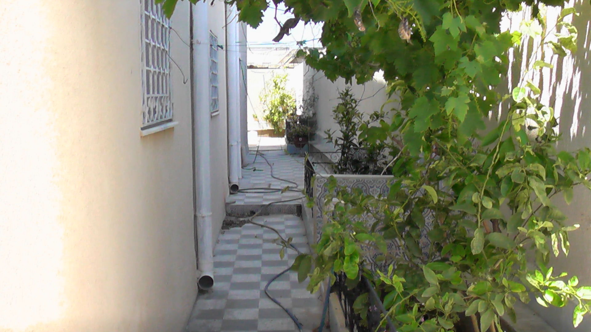 images_immo/tunis_immobilier120520IMGA0007.JPG