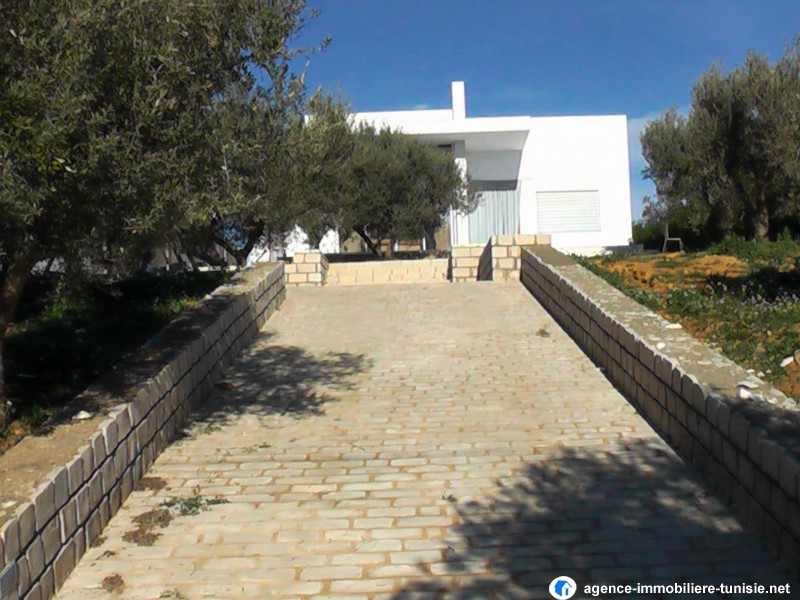 images_immo/tunis_immobilier140101raouf4.JPG