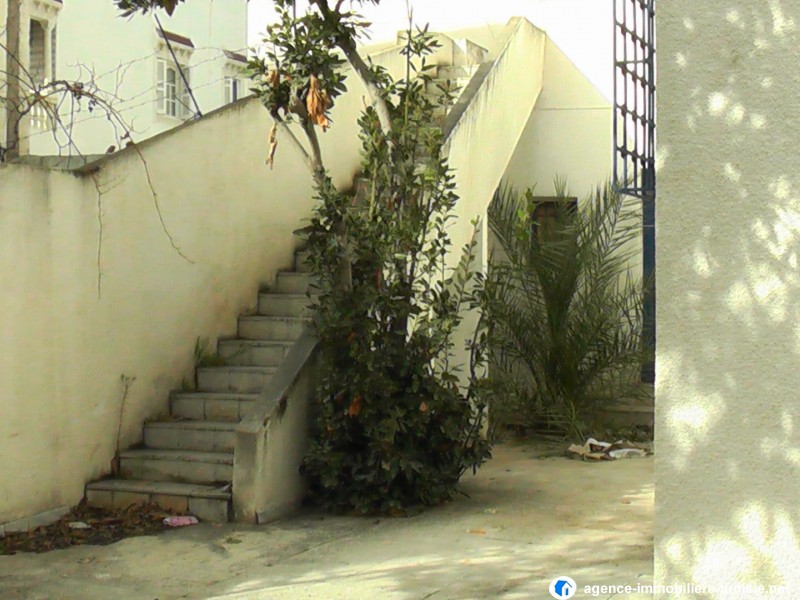 images_immo/tunis_immobilier140219zied11.JPG