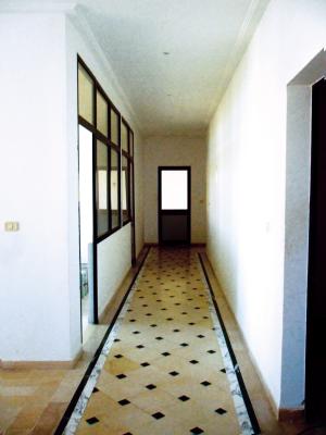 images_immo/tunis_immobilier111027da3.jpg