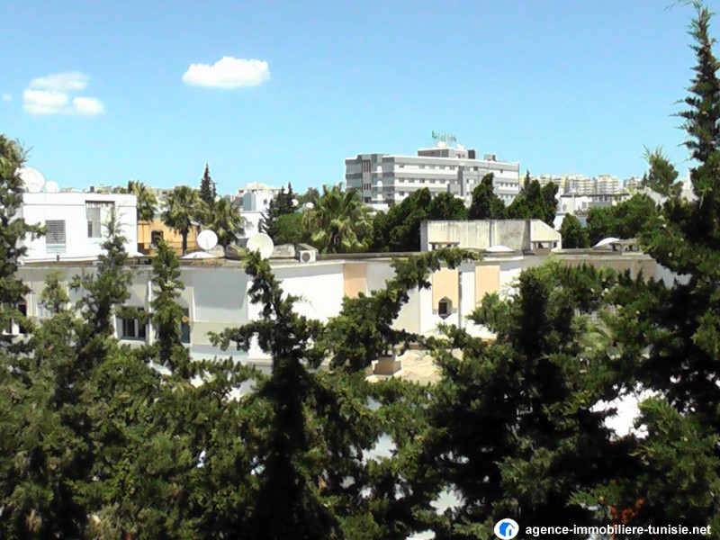 images_immo/tunis_immobilier140720manar10.JPG